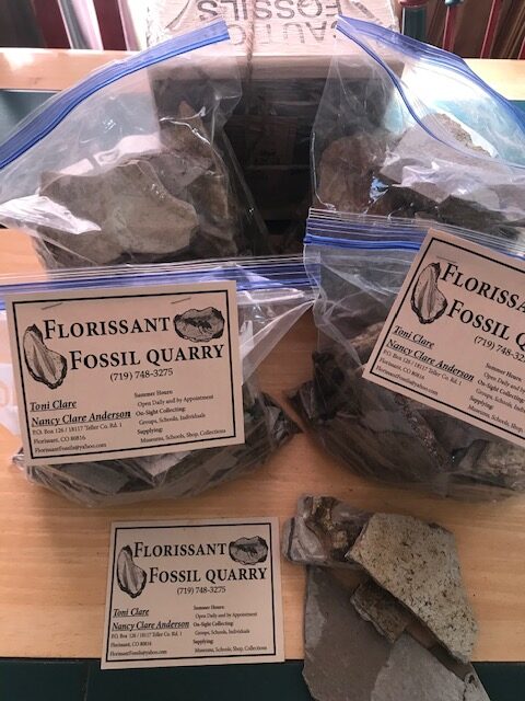 IMG_0036-1200 Eocene Experience Kits