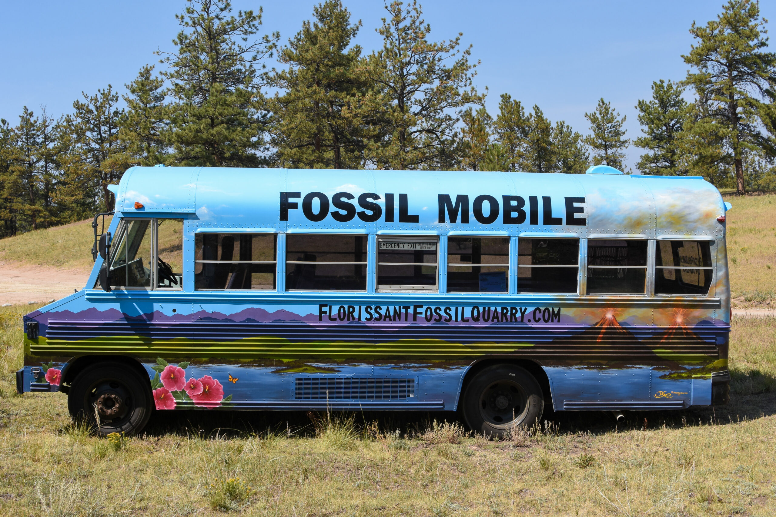 Fossil Mobile